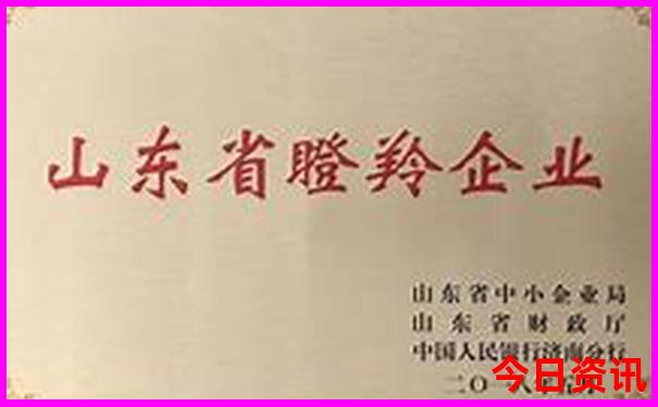 信丰一日游必去景点